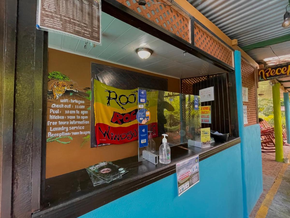 Los Amigos Jungle Hotel Tortuguero Extérieur photo