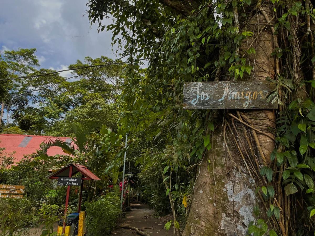 Los Amigos Jungle Hotel Tortuguero Extérieur photo