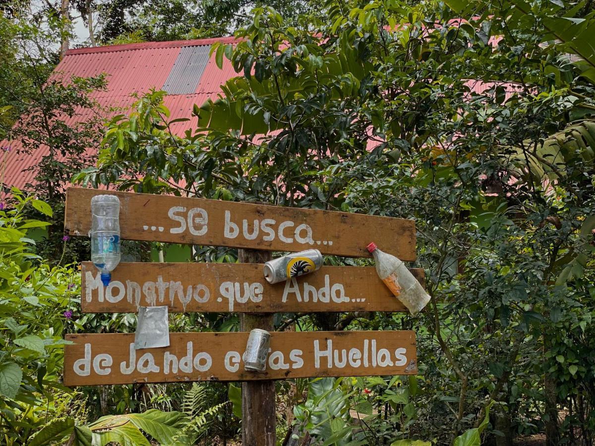 Los Amigos Jungle Hotel Tortuguero Extérieur photo
