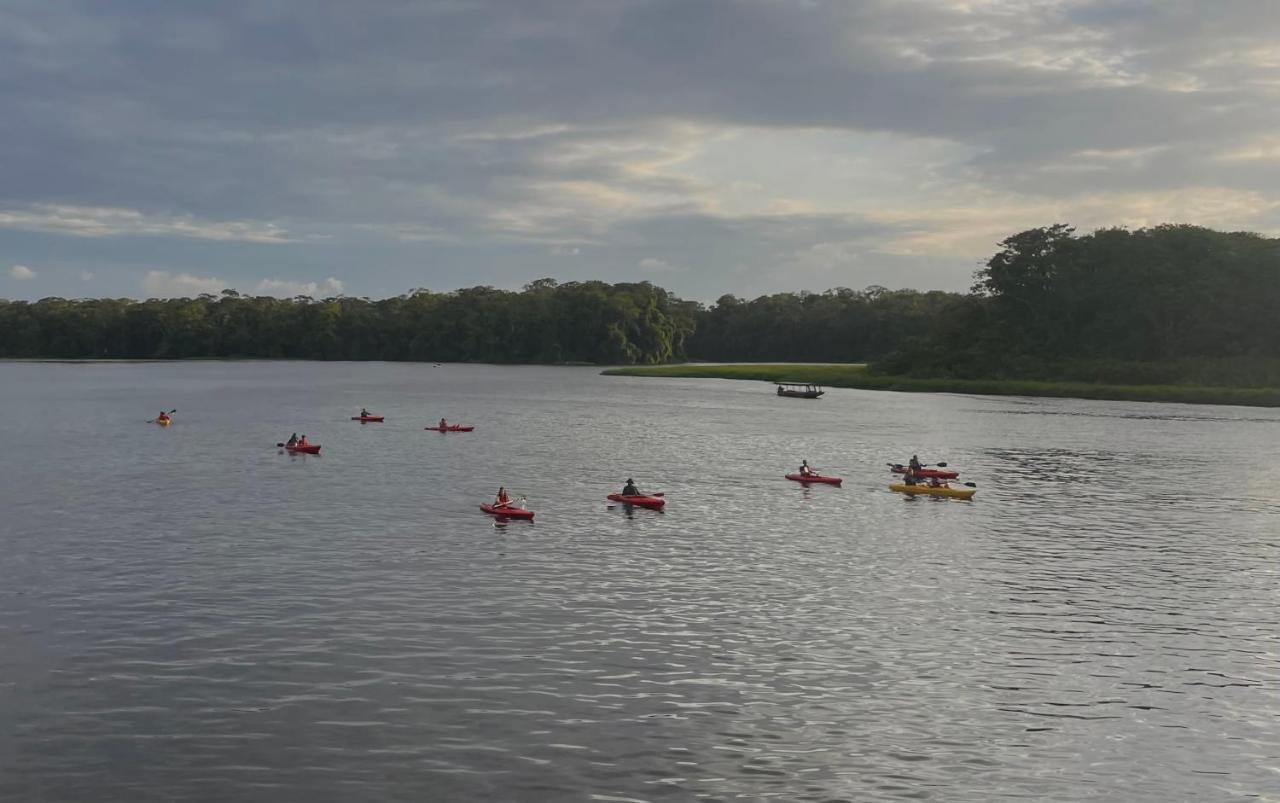 Los Amigos Jungle Hotel Tortuguero Extérieur photo