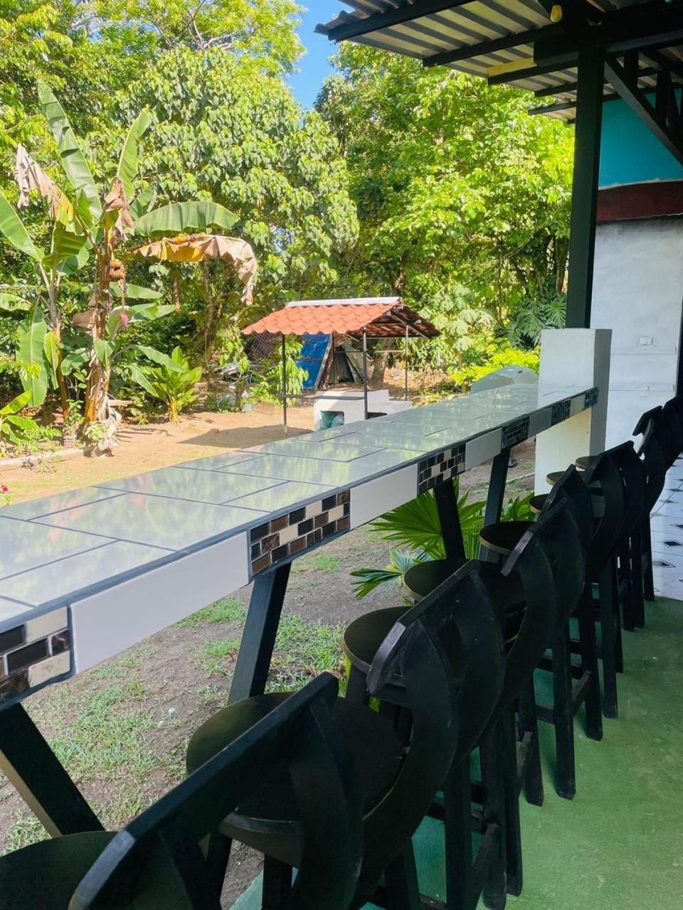 Los Amigos Jungle Hotel Tortuguero Extérieur photo